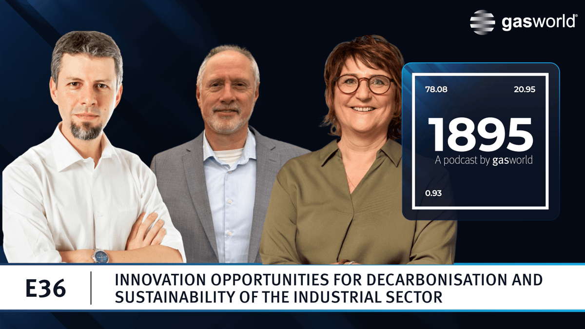 Decarbonisation and Sustainability in the Industrial Sector: Exploring Hydrogen's Growing Importance