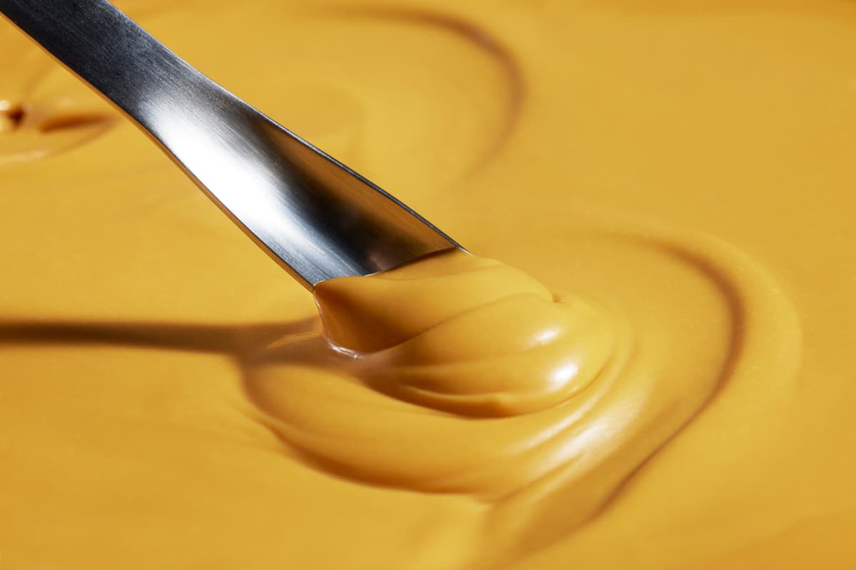 Finnish Startup Makes Protein From CO2: Solein Arrives in US