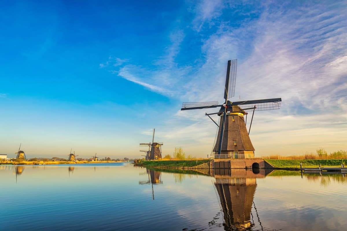 Rotterdam's Carbon Crusade: Pioneering the Decarbonisation of Industrial Infrastructure