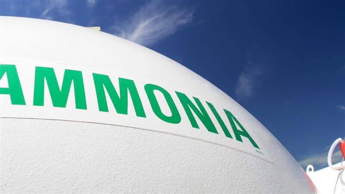 Elcogen and Casale Join Forces for Green Ammonia and Power-to-X Projects