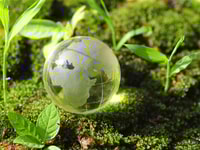 1031395_greenworld_973556