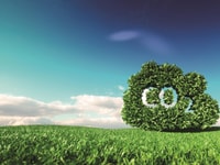 1031566_carbondioxideemissionscontrolconcept.3drenderingofco2cloudonfreshspringmeadowwithblueskyinbackground_580487