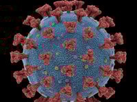 1033548_coronavirusrespiratoryinfectionsviruses9j4cn4c_43345