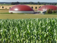 1041348_shutterstock_146705414_968578