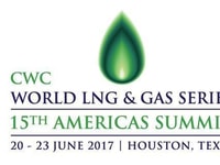 1023295 world lng and gas services