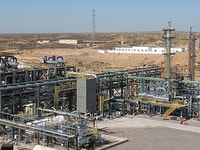 bandvplant