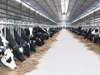 A Whole Lot Brewing Down on the Farm