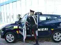 arma dei carabinieri