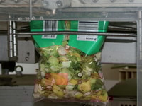 Bag of salad, food, MAP