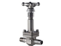 Bestobell cryogenic valve