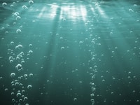 CO2 bubbles aquaculture