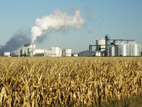 Carbon dioxide in 2015 - July 2015