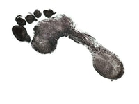 Carbon footprint