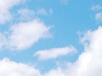 Cloud Computing and the Independent Gas Distributor