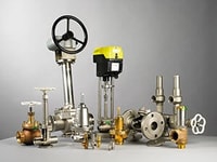 Crygenic valves