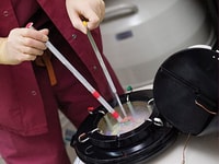 Cryobiology, embryo freezing