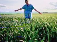 CO2 crop growth