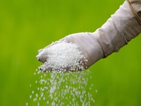 Fertiliser ammonia