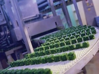 Food processing, freezing