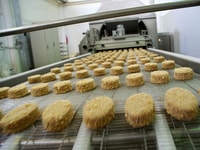food and beverage factory food editorial use only copyright a lesik