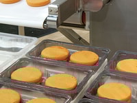 Food production line