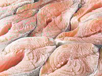 Frozen fish food and beverages