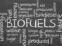 Green, Biofuels or Biofuel