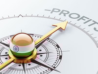 india profit concept
