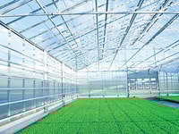 greenhouse CO2 oxygen green