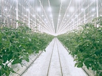 linde greenhouses are an increasing space for co2 usage.