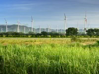 mexico windmills copyright soft light