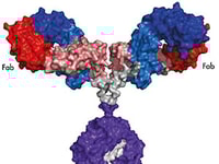 Nmr spectroscopy breakthrough retrieve.cfm