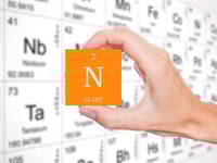 nitrogen gases