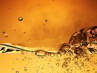 Oil