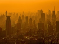 shanghai skyline in smog