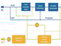 Technological and Economic Considerations for Specific Hydrogen Demand