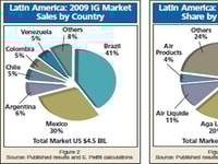 The 2009 Latin American Business Report
