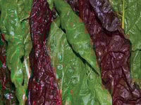 MAP – The Route to Fresher Foods and Safe Packaging