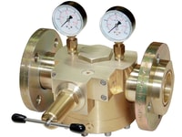 witt-dome-regulator