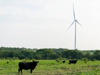 Airgas_Cleburne_ASU_Adds_Wind_Energy_-_NextEra_Image_Hubbard_Wind_Farm