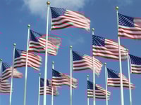 American flags flying in the wind, Washington, D.C