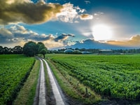 Biogas production is a potential source of methane emissions