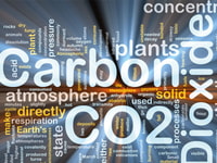 August 2014 Carbon Dioxide