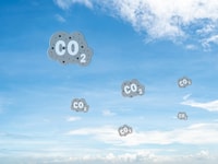 carbon capture