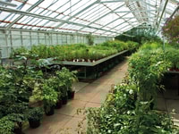 CO2 recovery potential in focas