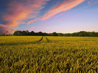 countryside-2326787_960_720