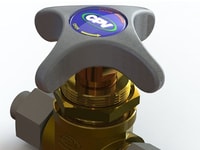 CPV2 copy