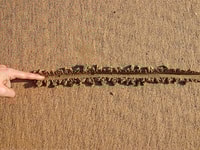 drawing-a-line-in-the-sand