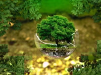 Environmental protection 326923 1280