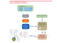 Figure 1 how c map analysis works